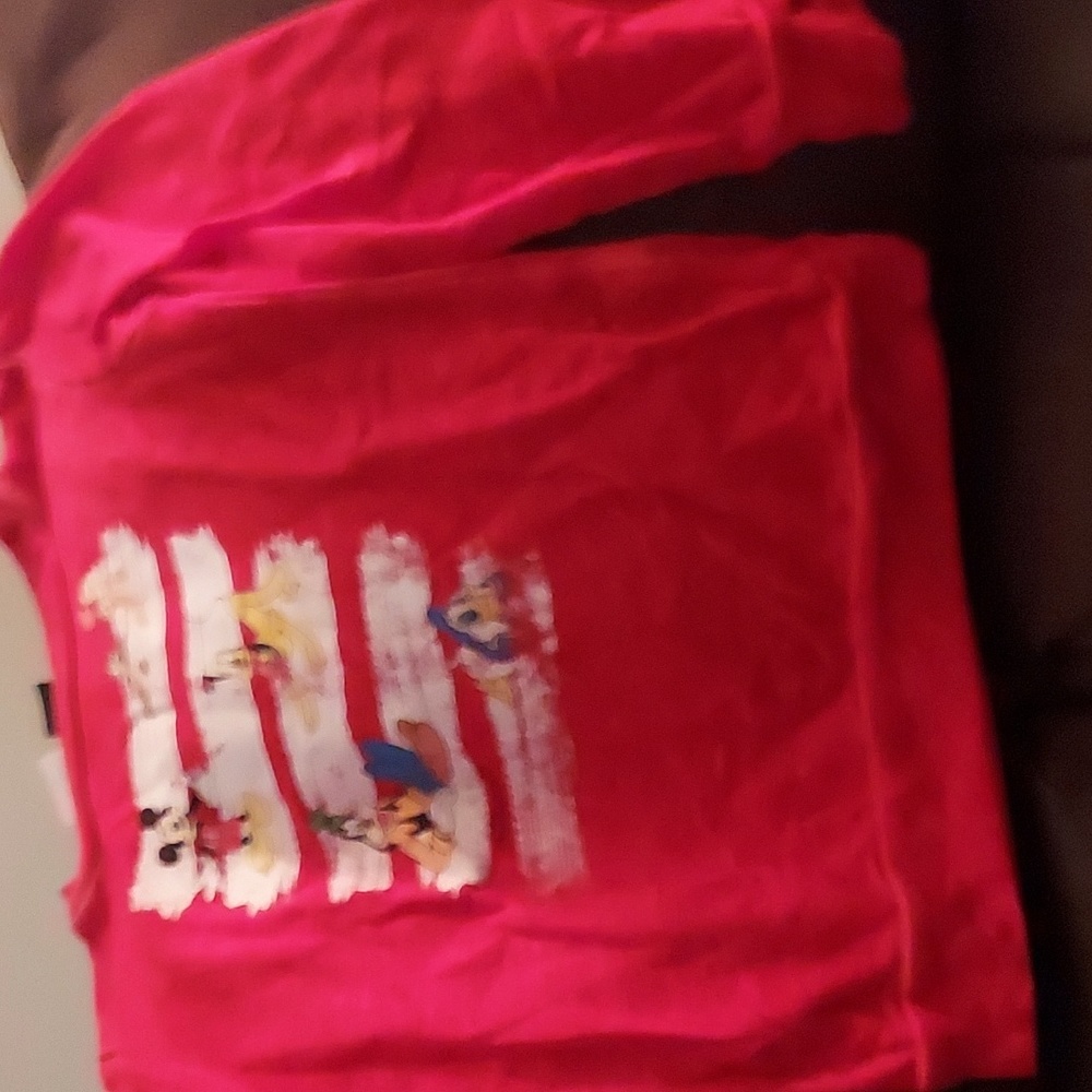 Ling sleeve disney shirt